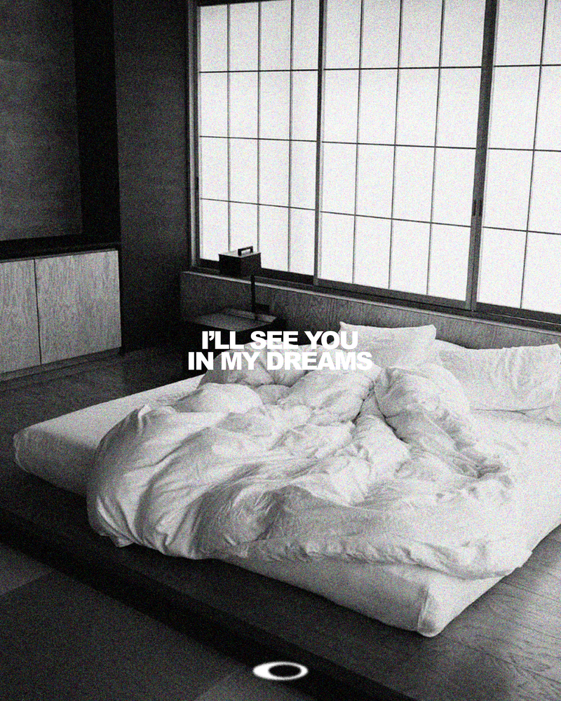 Visual for I'LL SEE YOU IN MY DREAMS